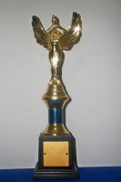 /album/galeria-de-trofeus-do-aroeira-f-c-/copa%20terr%c3%a3o%20aroeira-2008-bigode%20melhor%20tecnico-jpg/